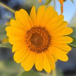 rachel.scheffel follows - @rachels.echo - Instagram
