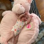 Rachel Scheller - Facebook