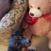 Rachelle Schoonover - Facebook