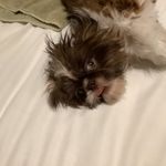 Rachel Schwebach - @schwebach.rachel - Instagram