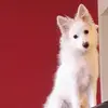 rachelelsee - @rachelelsee - TikTok