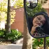 Rachel Seth Coleman - @rachelsethcoleman - TikTok