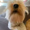 rachelsheldon707 - @rachelsheldon707 - TikTok