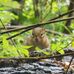 Rachel Shilling - Facebook