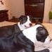 Rachel Shoop - Facebook