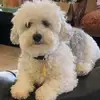 rachelslaughtercu - @rachelslaughtercu - TikTok