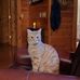 Rachel Squires - Facebook