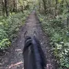 Rachel Hempenstall - @rachel.hempenstall - TikTok