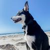 Rachel Steeves - @r.steeves - TikTok