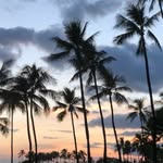 Rachel Strader - @r311strader - Instagram