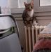 Rachel Strobel - Facebook