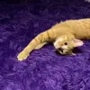 Rachele - @rachelestuff - TikTok
