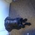 Rachel Stumpf - Facebook
