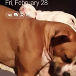 Rachel Renne Teeter - @rachel.haney.5209 - Instagram