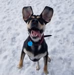 Rachel Tilson - Facebook