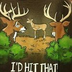 Rachael Tyner - @bubbarlt - Instagram