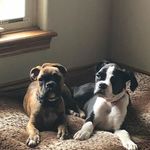 Rachel Tyner - @rachel.tyner.3 - Instagram