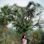 Rachel C. Vining - Facebook