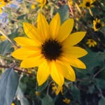 Rachel Waldner - @waldner.rachel - Instagram
