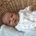 Rachel Waldner - @rachelob76 - Instagram