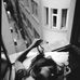 Rachel Weigel - Facebook