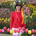 Rachel Weigel - Facebook