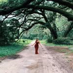Rachel Weldon - @rachel_weldon - Instagram