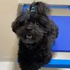 rachelleweldonvandehaar - @rachelleweldonvandehaar - TikTok