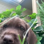 Rachel Witten - Facebook