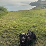 Rachel Whitcombe - @rachel_whitcombe - Instagram