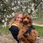 Rachel Will - @rachelwill3 - Instagram