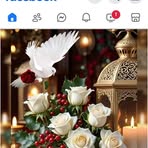 Rachel Willie - Facebook