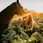 @rachel_wisdom.of.the.heart - Instagram