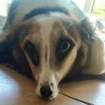Rachel Z. Woolf - @prophetzarathustra - Instagram