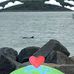 Rachel Woolley - Facebook