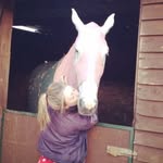 rachelwoolley38@gmail.com - @rachelwoolleyequine_ - Instagram