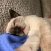 rachel.wyble - @rachwyb - TikTok