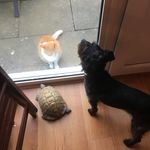RACHEL YARDLEY - @racheleyardley100 - Instagram