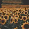 Rachelle Yazzie - @rachelle.yazzie7 - TikTok
