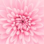 Rachele Facchini - @rachele.facchini00 - Instagram
