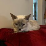 Rachelle Paswinski Lamb - @ralamb01 - Instagram