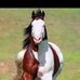 Rachid Farhat - Facebook
