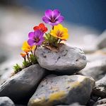 Rachida Dati - @dati7009 - Instagram