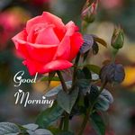 Rachna Chavan - @rachnachavan26 - Instagram