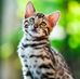Rachna Chavan - Facebook