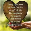Racquel Cunningham - @racquel.cunningha - TikTok