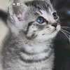 raqueldixon42 - @racqueldixon - TikTok