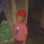 samoyabryan - @racquelevans29 - Instagram