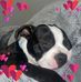 Raquel Hall - Facebook
