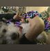 Raquel Sanchez - Facebook